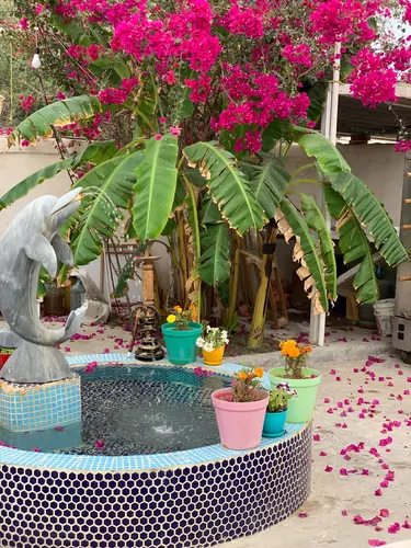 تصویر 2 - اقامتگاه بوم‌گردی اقامتگاه و بوگردی زمان  در هنگام