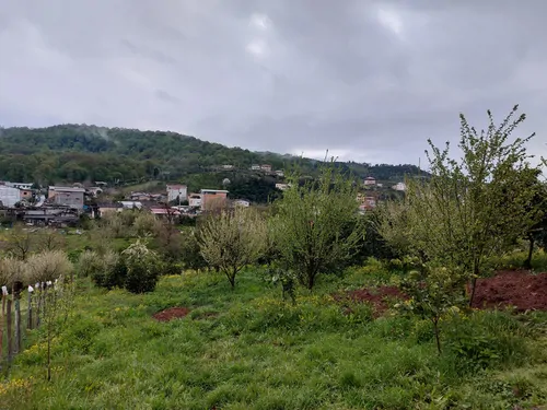 تصویر 3 - ویلا  ساروی در  بابل کنار