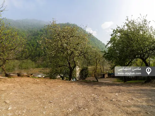 تصویر 2 - سوییت ویلایی نیما در ماسال