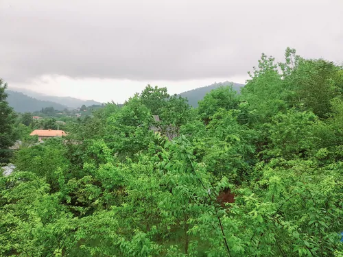 تصویر 13 - کلبه جنگلی آراد در  ماسال