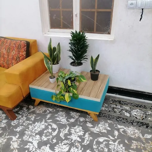 تصویر 3 - خانه ویلای سینا در بوشهر