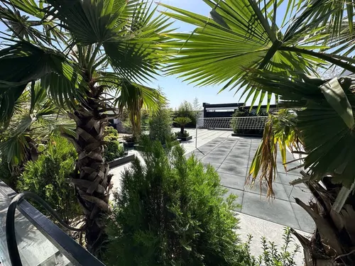 تصویر 24 - ویلا استخردار آبگرم افشاریه با زمین والیبال در کردان