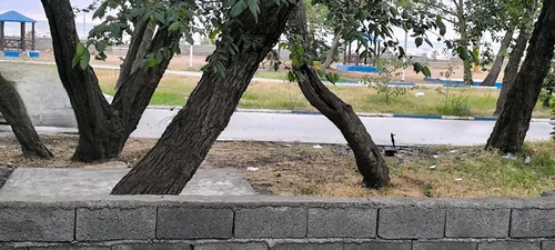 تصویر 13 - ویلا ساحلی بختیاری در بابلسر