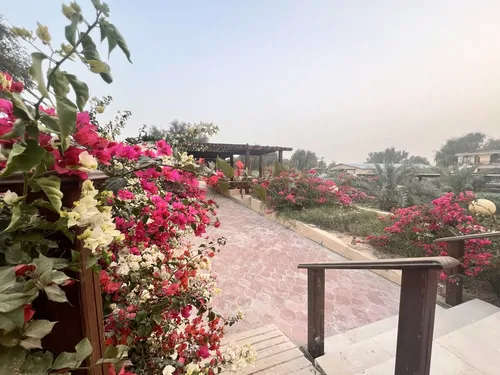 تصویر 12 - اقامتگاه بوم‌گردی صفا آباد (102) با صبحانه رایگان در  قشم