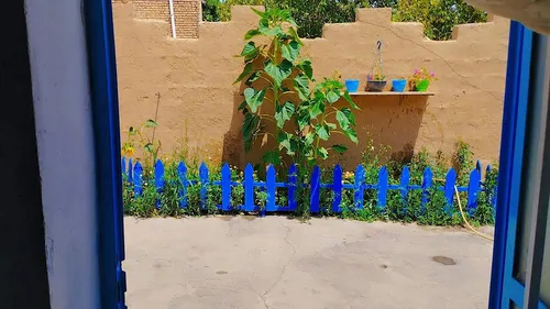 تصویر 17 - خانه ویلایی زولان جنگل ابر در  شاهرود