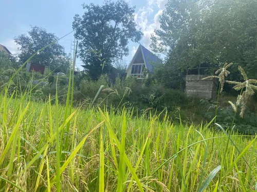 تصویر 13 - کلبه سوییسی آنجلیکا (1) در  شیرگاه