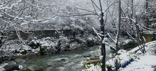 تصویر 35 - ویلا دلنواز کنار رودخانه در ماسال