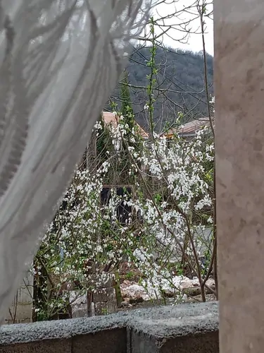تصویر 12 - ویلا شکوفه بهار در  ماسال