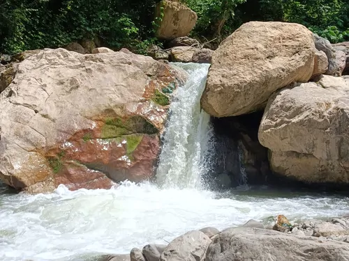 تصویر 26 - کلبه جنگلی اسب ریسه نزدیک رودخانه و ییلاقات در  اولسبلنگاه