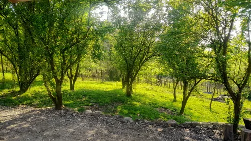 تصویر 9 - کلبه جنگلی ساره بانو در  شیرگاه