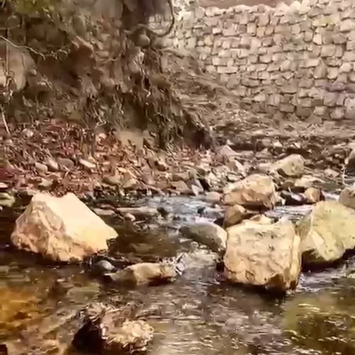 تصویر 5 - روستایی و عشایری بهشت کوچک ساری در  ساری