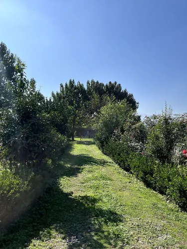 تصویر 13 - ویلا مرجان (دو) در  فومن