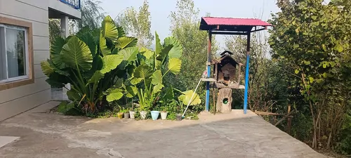 تصویر 10 - ویلا جنگلی آسایش (1) در  رشت