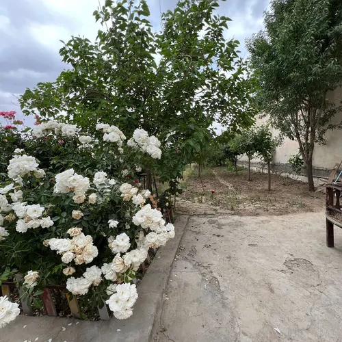 تصویر 2 - ویلا باغ گلها در همدان