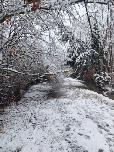 تصویر 24 - ویلا ماه سو در  سوادکوه