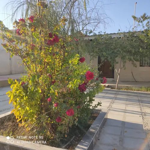 تصویر 2 - ویلا ویلا مجنون در مشهد