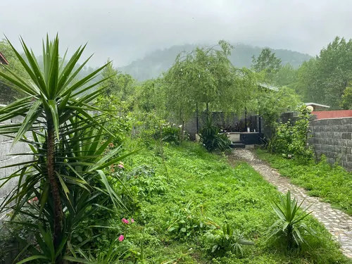تصویر 13 - کلبه جنگلی لیام (روستای سیاهدول) در ماسال