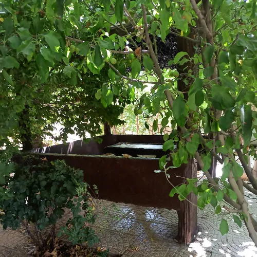 تصویر 16 - ویلا باغ رادوین در  شیراز