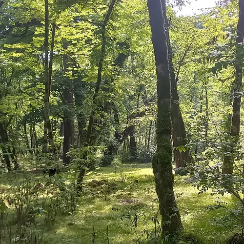 تصویر 20 - ویلا جنگلی ناردون در  ماسال