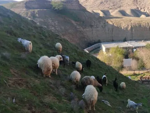 تصویر 3 - اقامتگاه بوم‌گردی ساختمان و اقامتگاه در دره شهر