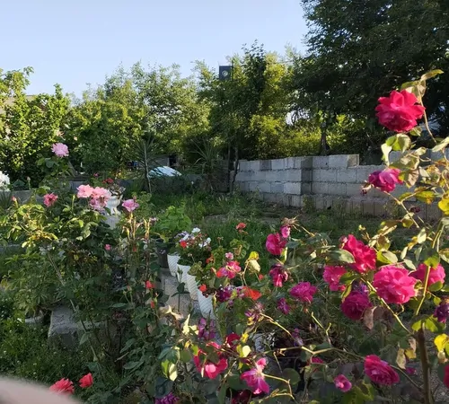 تصویر 3 - ویلا ویلای یسنا در تالش