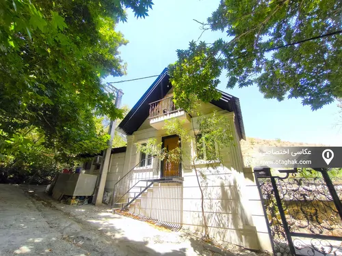  با دیزاین چوب زنبق 
