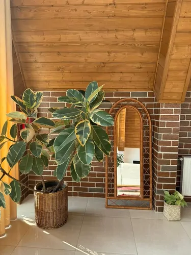 تصویر 10 - کلبه چام  در  رامسر