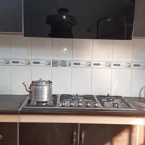 تصویر 8 - ویلا جنگلی پارسا در  ماسال