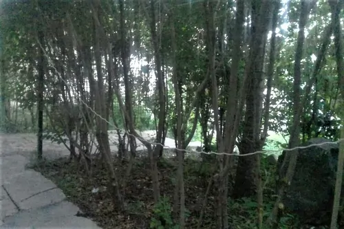 تصویر 3 - خانه ایمانی(طبقه اول) در زنجان