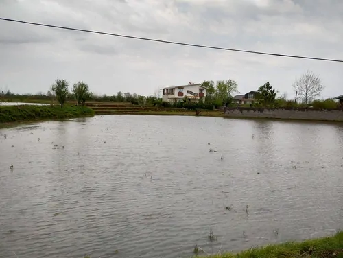 تصویر 14 - ویلا سرای سبز فروردین  در  لاهیجان