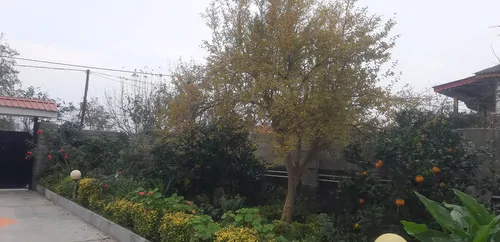 تصویر 21 - ویلا خاطرات شیرین در  رامسر