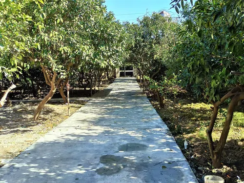 تصویر 12 - ویلا باغ استخردار آبگرم کیان (8) در  سرخ رود