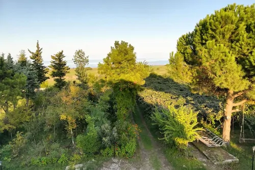 تصویر 5 - ویلا باغ تراس دار کنار دریا در  تالش