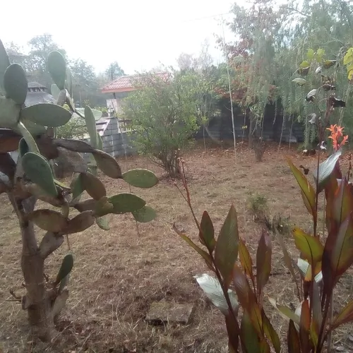 تصویر 9 - ویلا جنگلی طبیعت در  متل قو