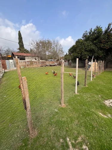 تصویر 2 - ویلا ویلاباغ لوما در ماسال