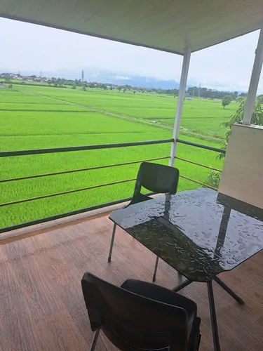 تصویر 2 - ویلا مرتضی (1) در کلاچای