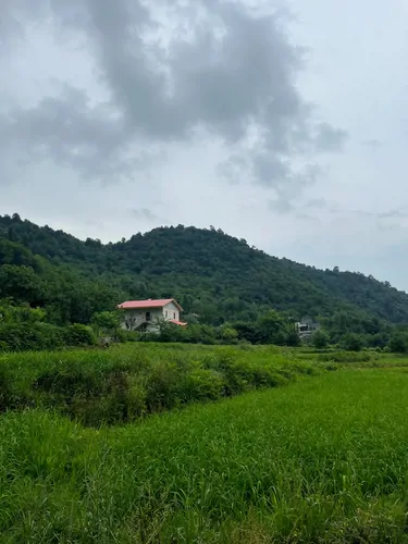 تصویر ۱ - ویلا جنگلي مادر  در  ماسال