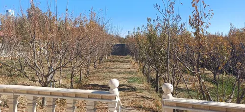 تصویر 16 - ویلا باغ رضا با فوتبال دستی در  سهیلیه