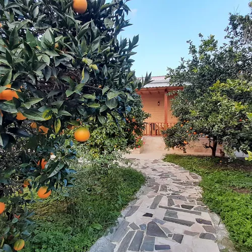 تصویر 25 - خانه مسافر باغ پرتقال در  شیرود