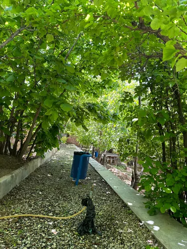 تصویر 16 - ویلا باغ استخردار آبگرم آیینه ورزان در  دماوند