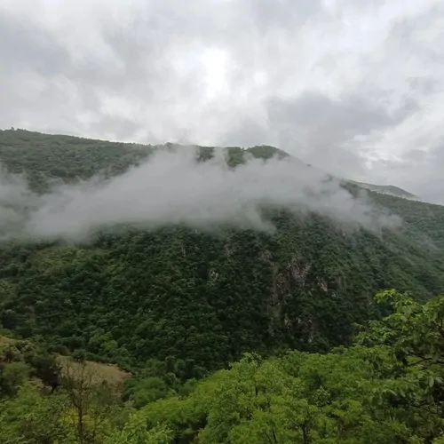 تصویر 20 - ویلا جنگلی پنجک در  مرزن آباد