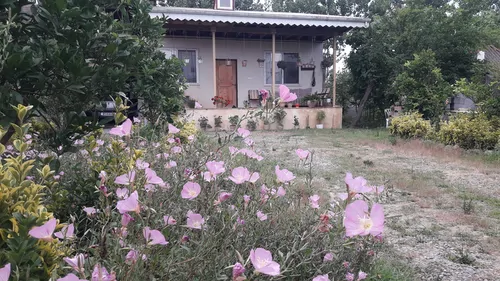 تصویر 18 - ویلا سالکویه در  خمام