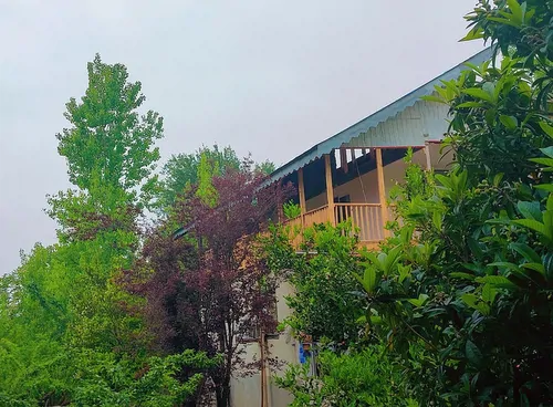 تصویر 3 - کلبه کلبه جنگلی بهادر در رودبار