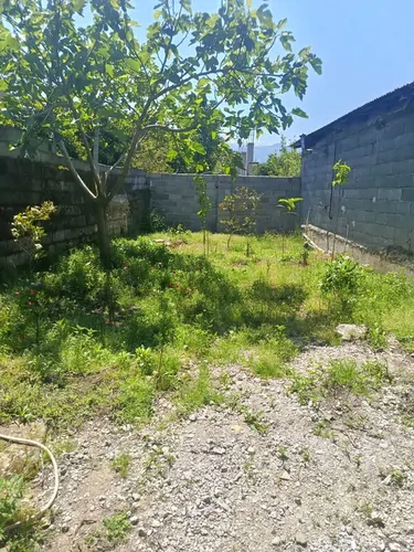 تصویر 12 - خانه روستایی کاج در کلاچای