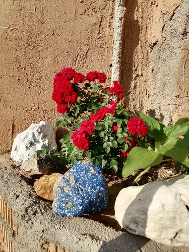 تصویر 5 - کلبه اقامتگاه بومگردی وخانه کوهنورد کدخدا در صفا شهر فارس