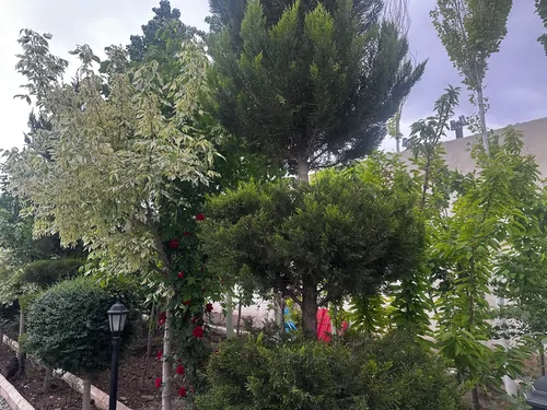 تصویر 27 - ویلا آرامش در  سهیلیه