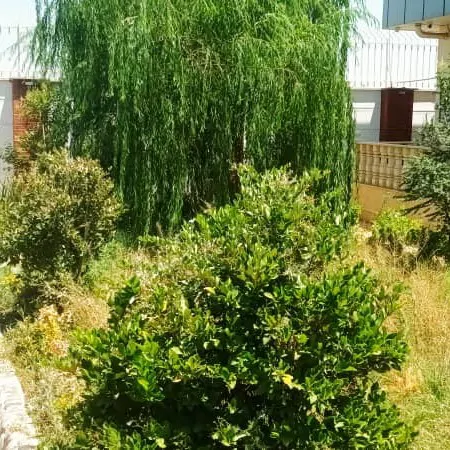 تصویر 3 - ویلا avin vila در سهیلیه