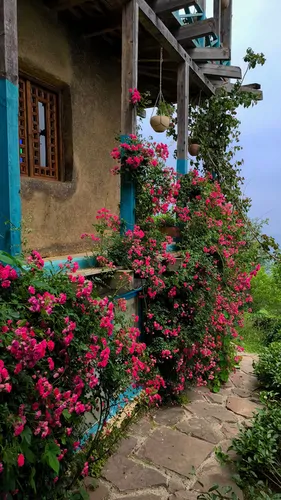 تصویر 25 - روستایی و عشایری مه میان در  شهسوار