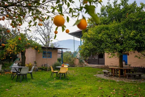 تصویر 5 - اقامتگاه بوم‌گردی کندوج (واحد بیجار) با صبحانه رایگان در  شهسوار