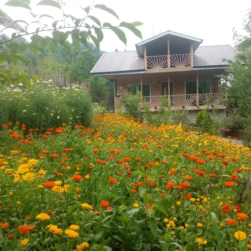 تصویر 23 - کلبه چوبی جنگلی بُرنا در ماسال